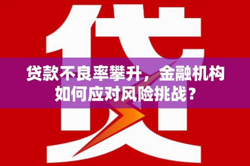 西夏贷款不良率攀升，金融机构如何应对风险挑战？