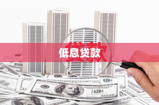 西夏低息贷款