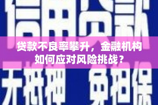 西夏贷款不良率攀升，金融机构如何应对风险挑战？