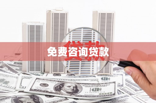 西夏免费咨询贷款