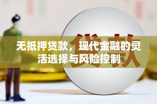 西夏无抵押贷款，现代金融的灵活选择与风险控制
