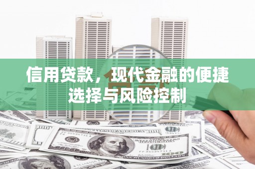 西夏信用贷款，现代金融的便捷选择与风险控制