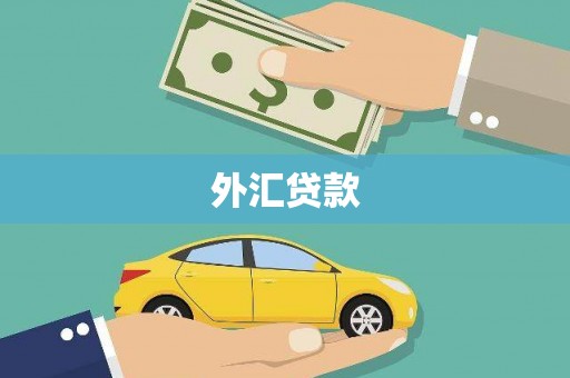 西夏外汇贷款