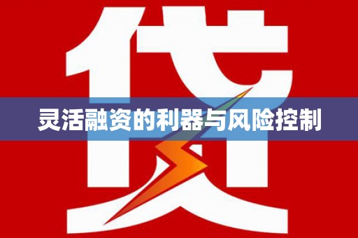 西夏灵活融资的利器与风险控制