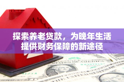 西夏探索养老贷款，为晚年生活提供财务保障的新途径