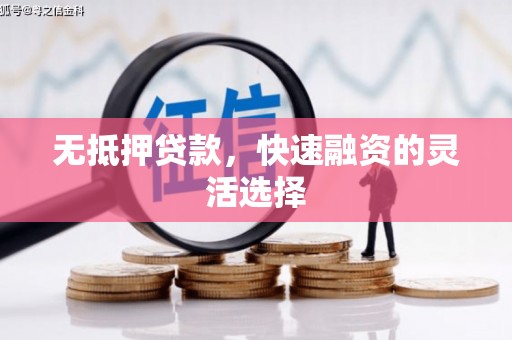 西夏无抵押贷款，快速融资的灵活选择