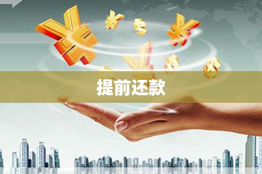 西夏提前还款