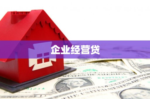西夏企业经营贷