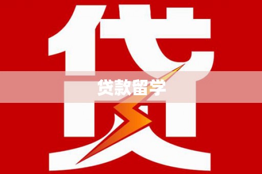 西夏贷款留学