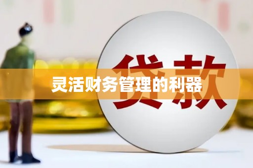 西夏灵活财务管理的利器