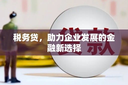 西夏税务贷，助力企业发展的金融新选择