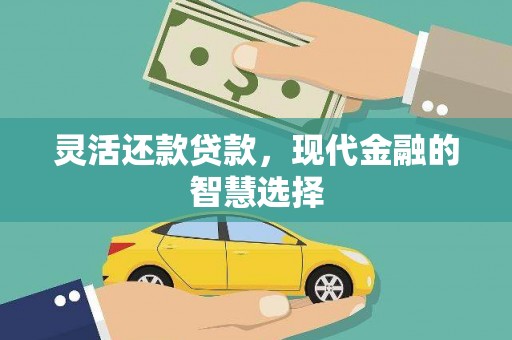 西夏灵活还款贷款，现代金融的智慧选择