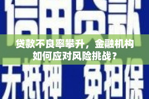 西夏贷款不良率攀升，金融机构如何应对风险挑战？