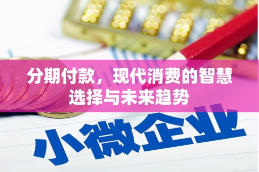 西夏分期付款，现代消费的智慧选择与未来趋势