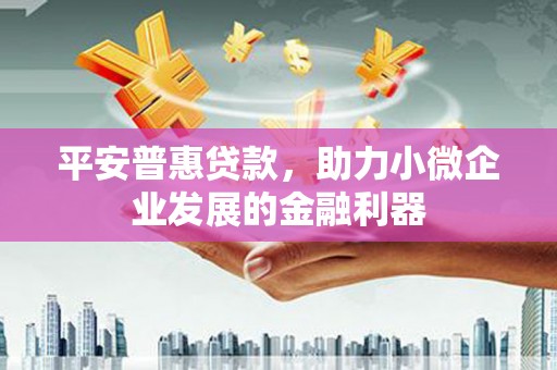 西夏平安普惠贷款，助力小微企业发展的金融利器