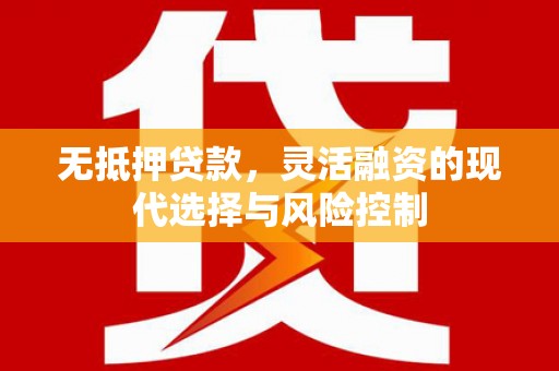 西夏无抵押贷款，灵活融资的现代选择与风险控制