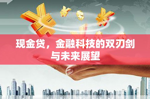 西夏现金贷，金融科技的双刃剑与未来展望