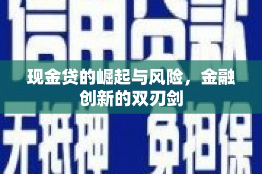 西夏现金贷的崛起与风险，金融创新的双刃剑