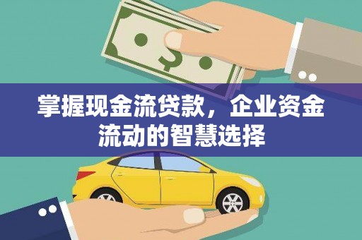 西夏掌握现金流贷款，企业资金流动的智慧选择