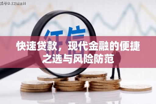 西夏快速贷款，现代金融的便捷之选与风险防范