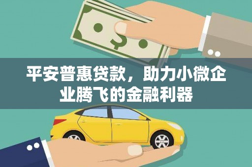 西夏平安普惠贷款，助力小微企业腾飞的金融利器