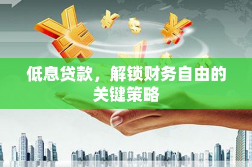 西夏低息贷款，解锁财务自由的关键策略