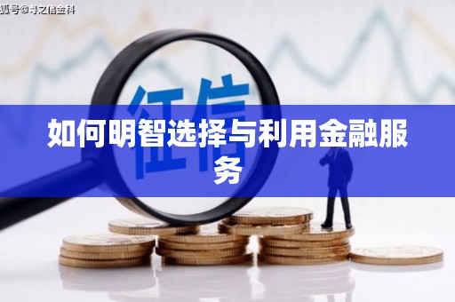 西夏如何明智选择与利用金融服务