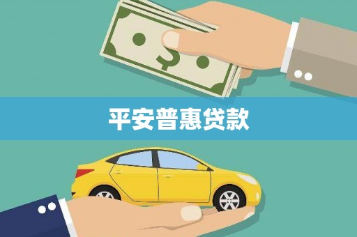 西夏平安普惠贷款