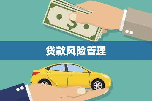西夏贷款风险管理