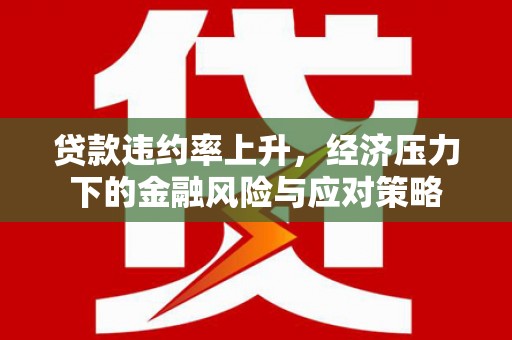 西夏贷款违约率上升，经济压力下的金融风险与应对策略