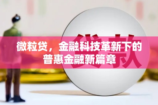 西夏微粒贷，金融科技革新下的普惠金融新篇章