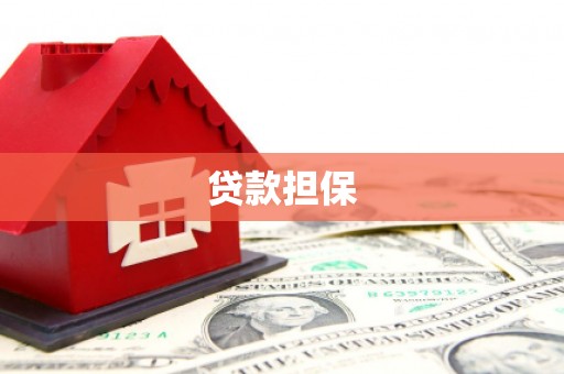 西夏贷款担保