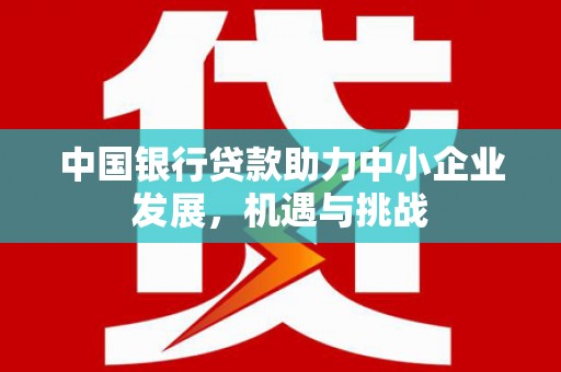 西夏中国银行贷款助力中小企业发展，机遇与挑战