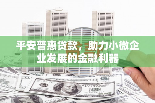 西夏平安普惠贷款，助力小微企业发展的金融利器