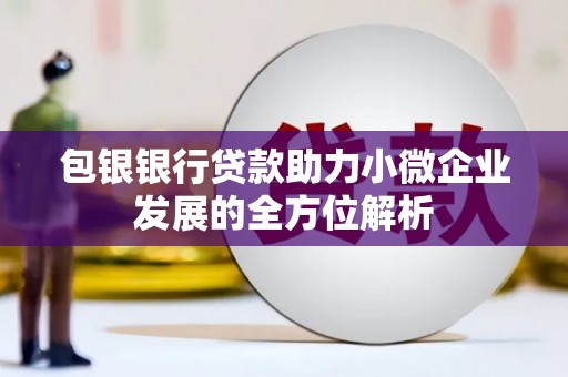 西夏包银银行贷款助力小微企业发展的全方位解析