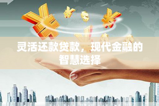 西夏灵活还款贷款，现代金融的智慧选择