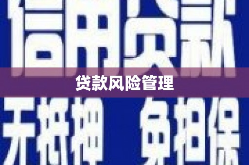 西夏贷款风险管理
