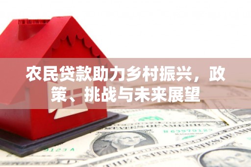 西夏农民贷款助力乡村振兴，政策、挑战与未来展望
