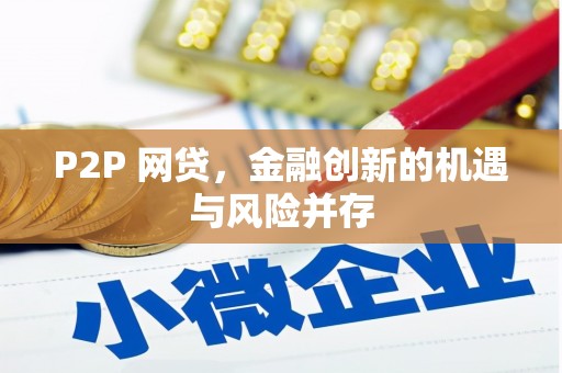 西夏P2P 网贷，金融创新的机遇与风险并存