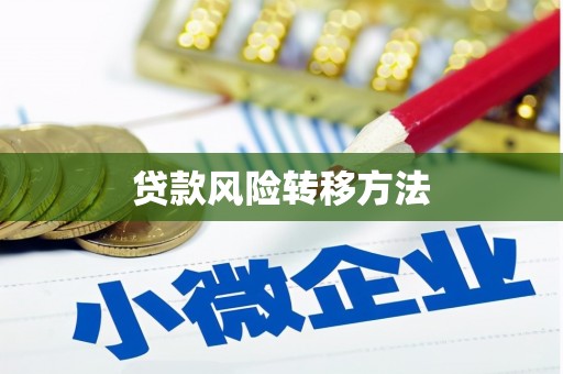 西夏贷款风险转移方法