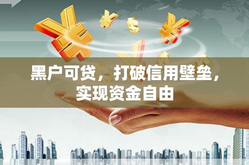 西夏黑户可贷，打破信用壁垒，实现资金自由