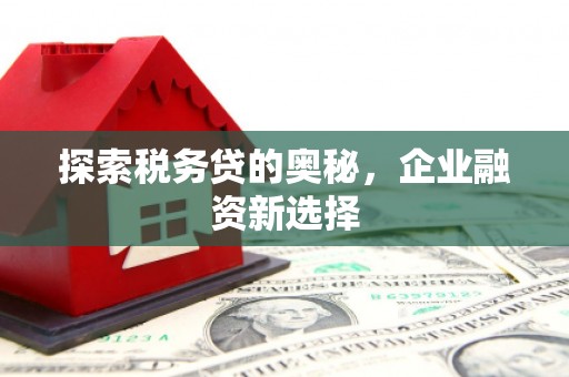 西夏探索税务贷的奥秘，企业融资新选择
