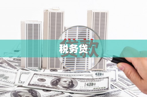 西夏税务贷