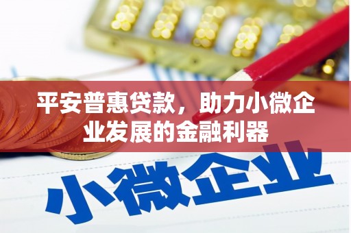 西夏平安普惠贷款，助力小微企业发展的金融利器