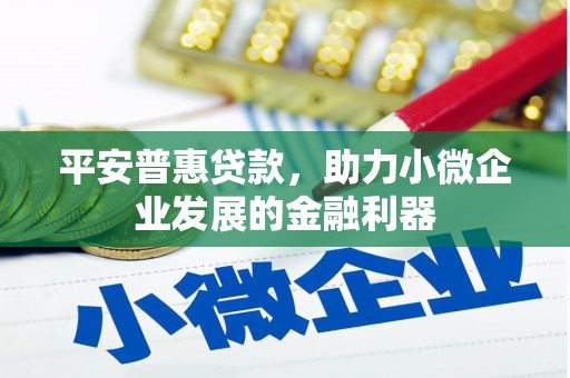 西夏平安普惠贷款，助力小微企业发展的金融利器