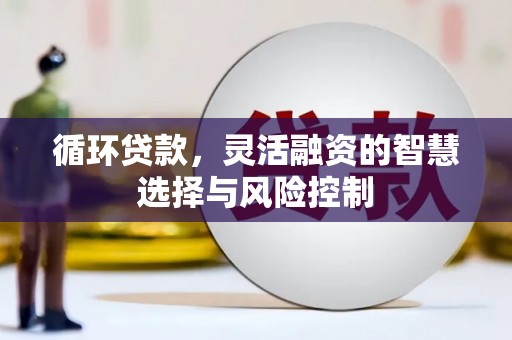 西夏循环贷款，灵活融资的智慧选择与风险控制