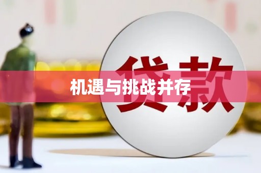 西夏机遇与挑战并存