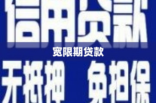 西夏宽限期贷款