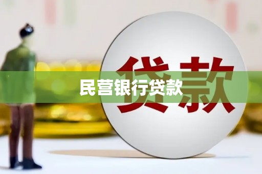 西夏民营银行贷款