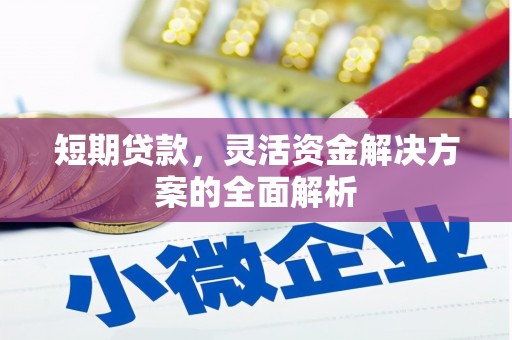 西夏短期贷款，灵活资金解决方案的全面解析